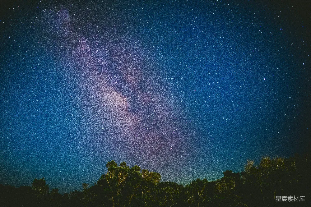 高清摄影  蓝天下的树