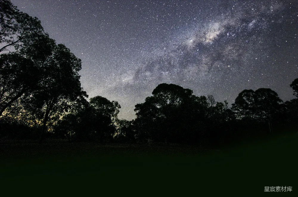 高清摄影 自然 夜晚灰暗天空下树木的剪影