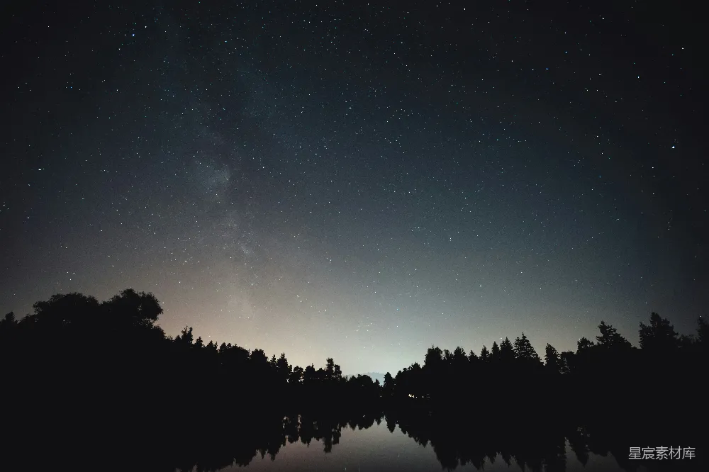 高清摄影  树木的剪影在夜间