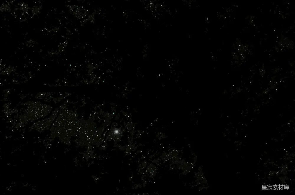 高清摄影  一张黑白照片，展现夜晚的天空。