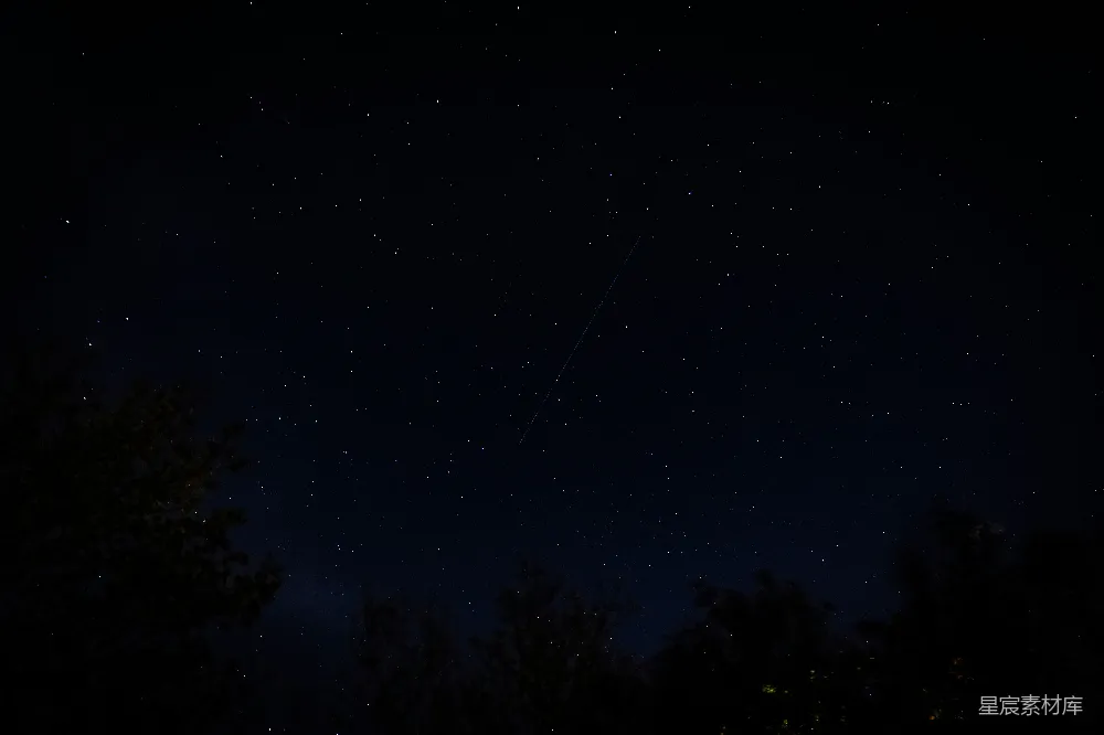 高清摄影  夜晚蓝天下的绿树