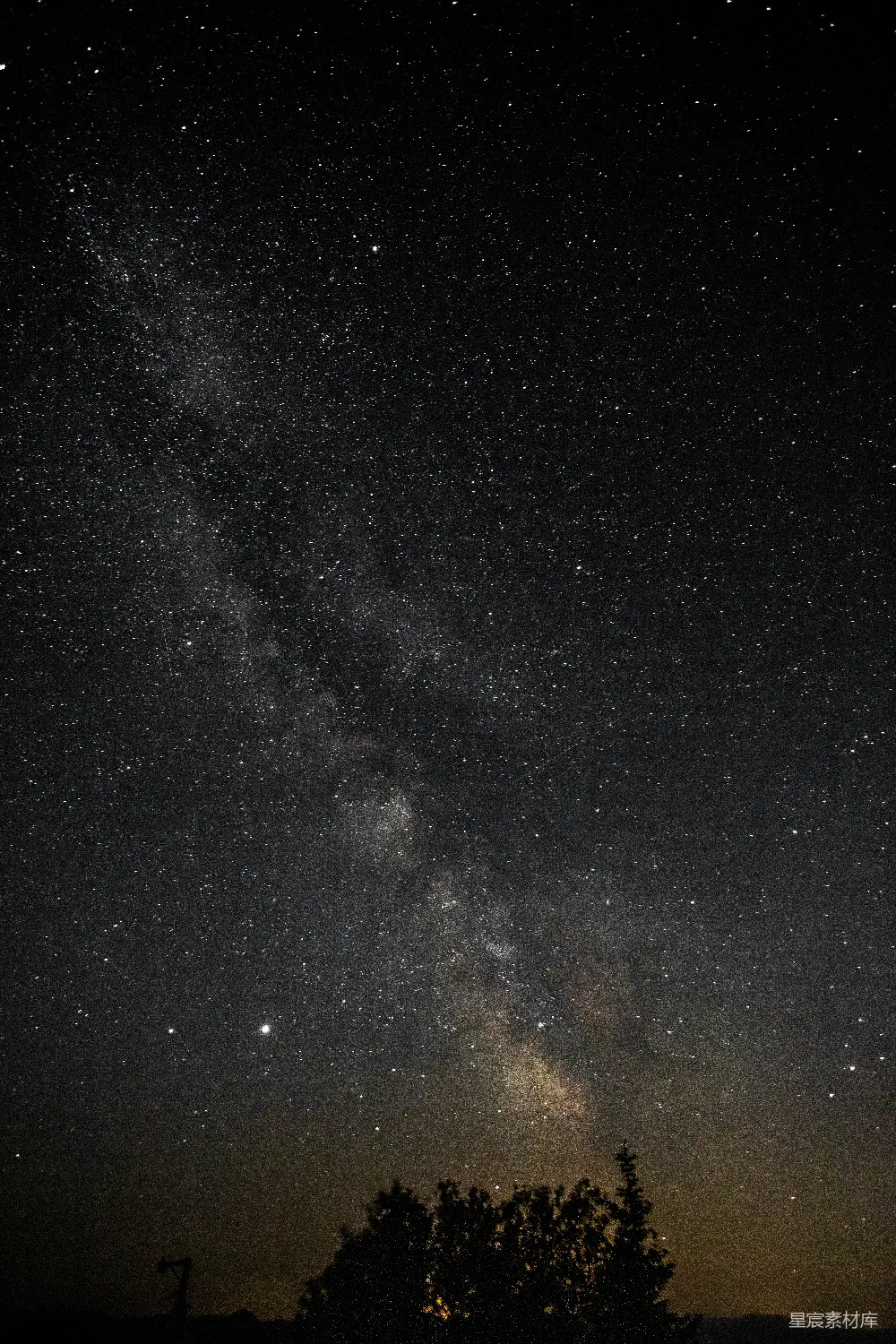 高清摄影  夜空中的星星和近处的树木