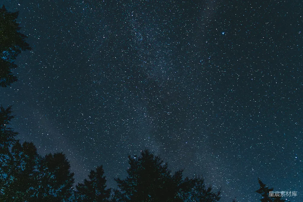 高清摄影 壁纸 自然 实验性 夜空布满了星星和树木。