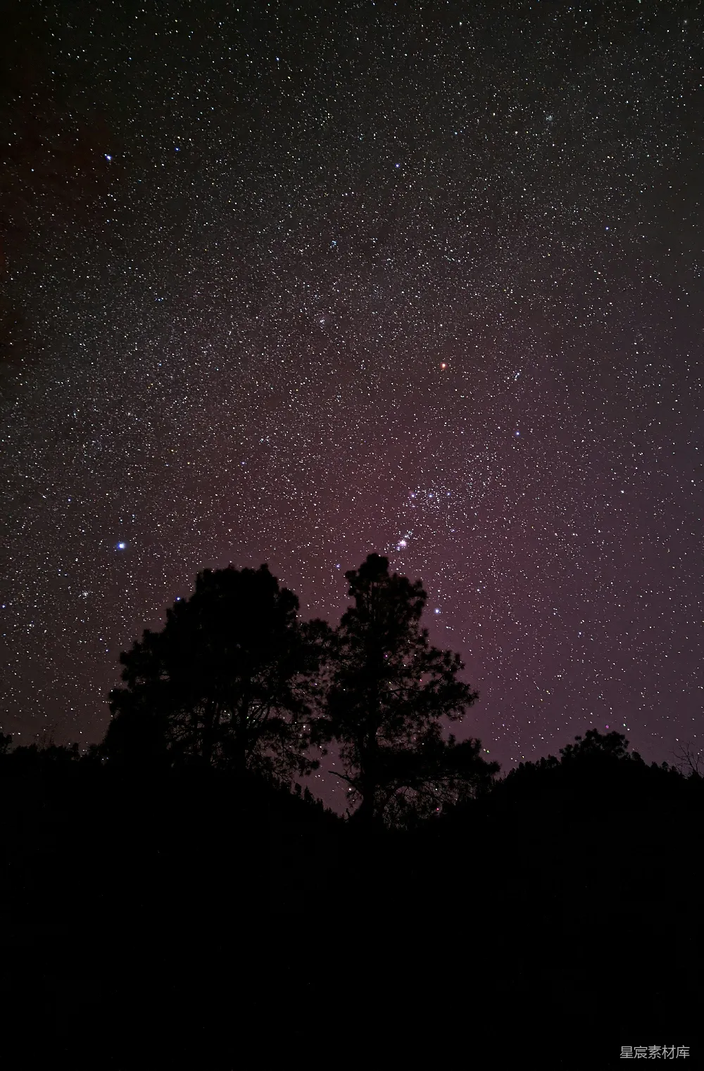 高清摄影 自然 壁纸 星空下的树