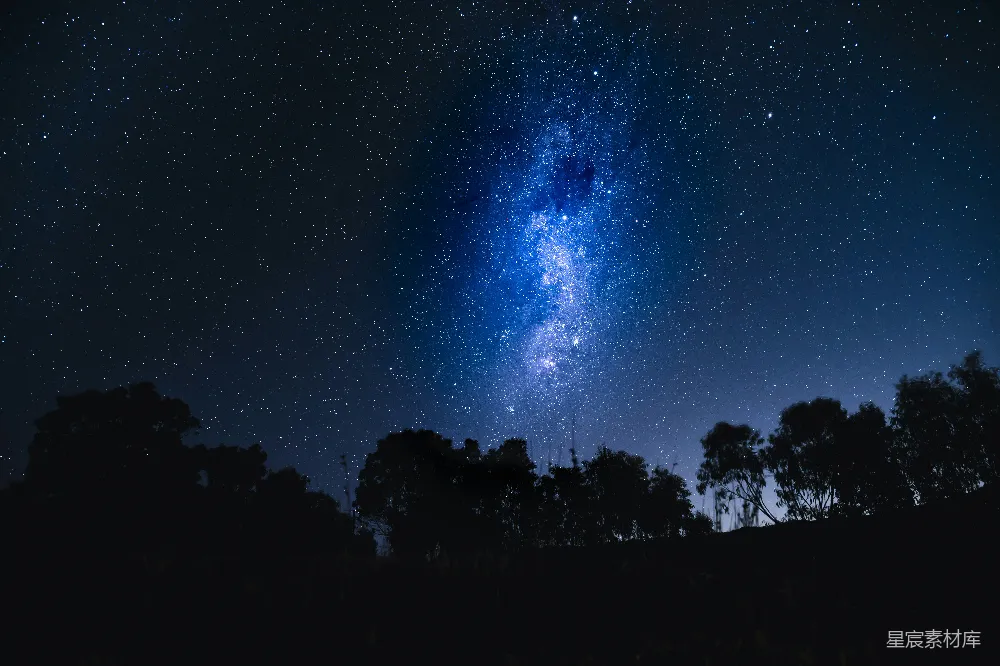 高清摄影 自然 夜空中的星星和前景中的树木