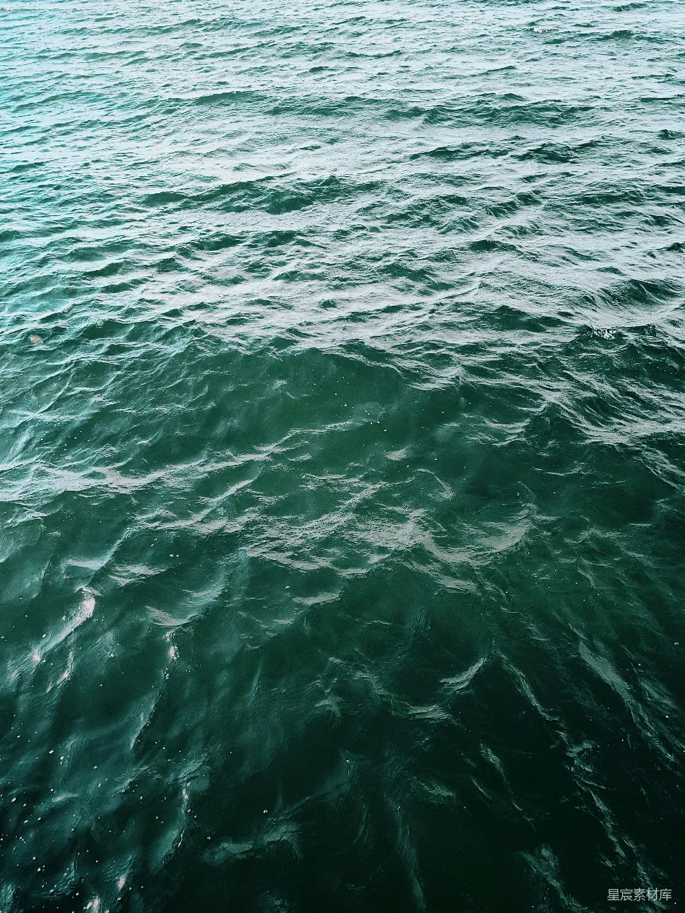 高清摄影  一片有波浪的水域