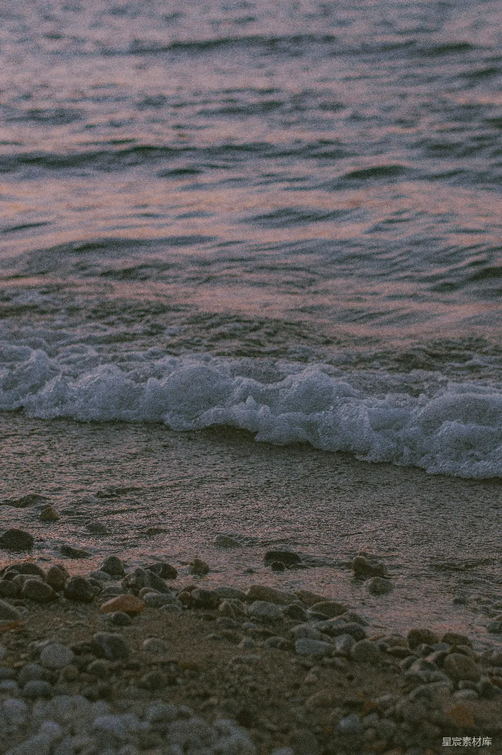 高清摄影  一只鸟站在海滩上，旁边是海洋。