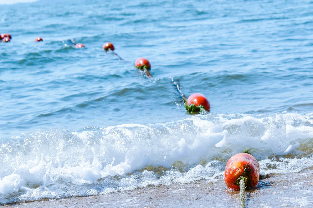 高清摄影  海滩上一排漂浮在水中的浮标