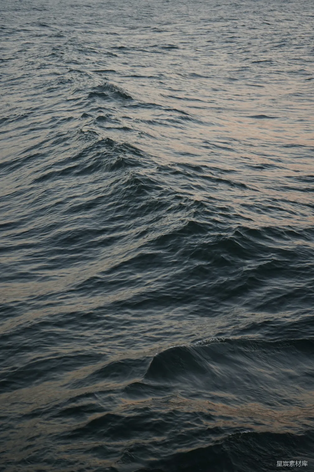 高清摄影  水面上的波浪