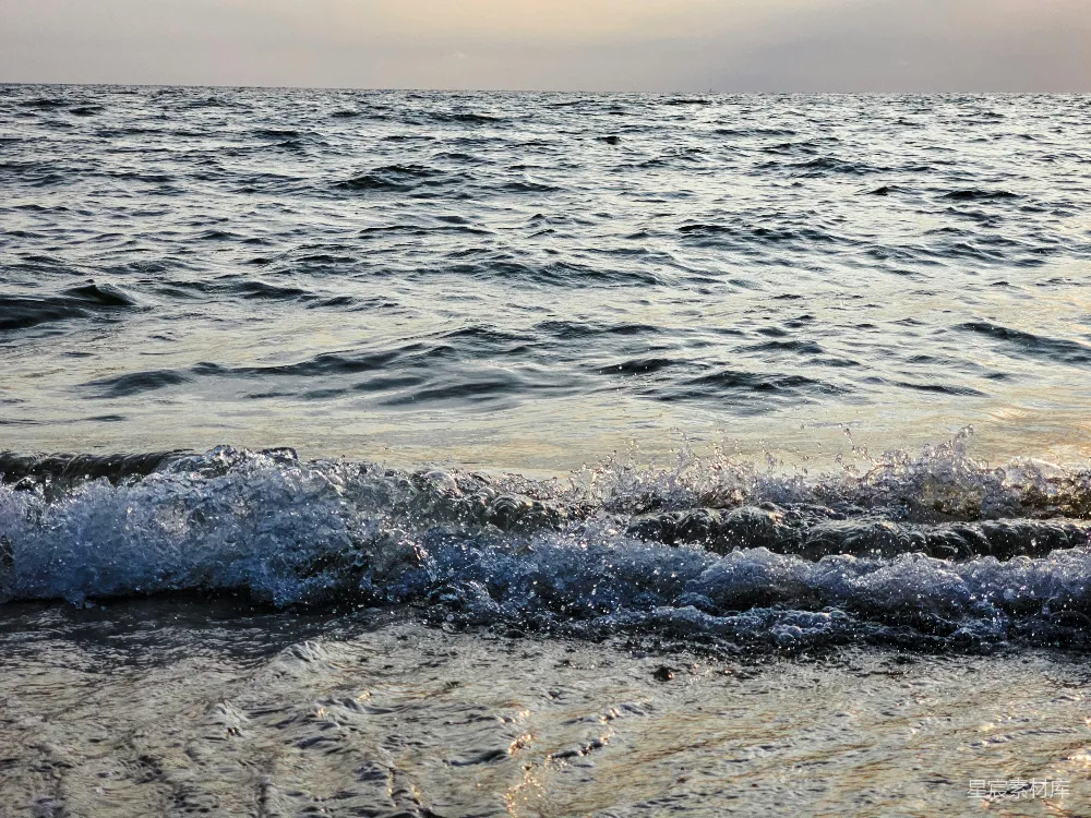 高清摄影  一只鸟站在沙滩上，旁边是海洋。