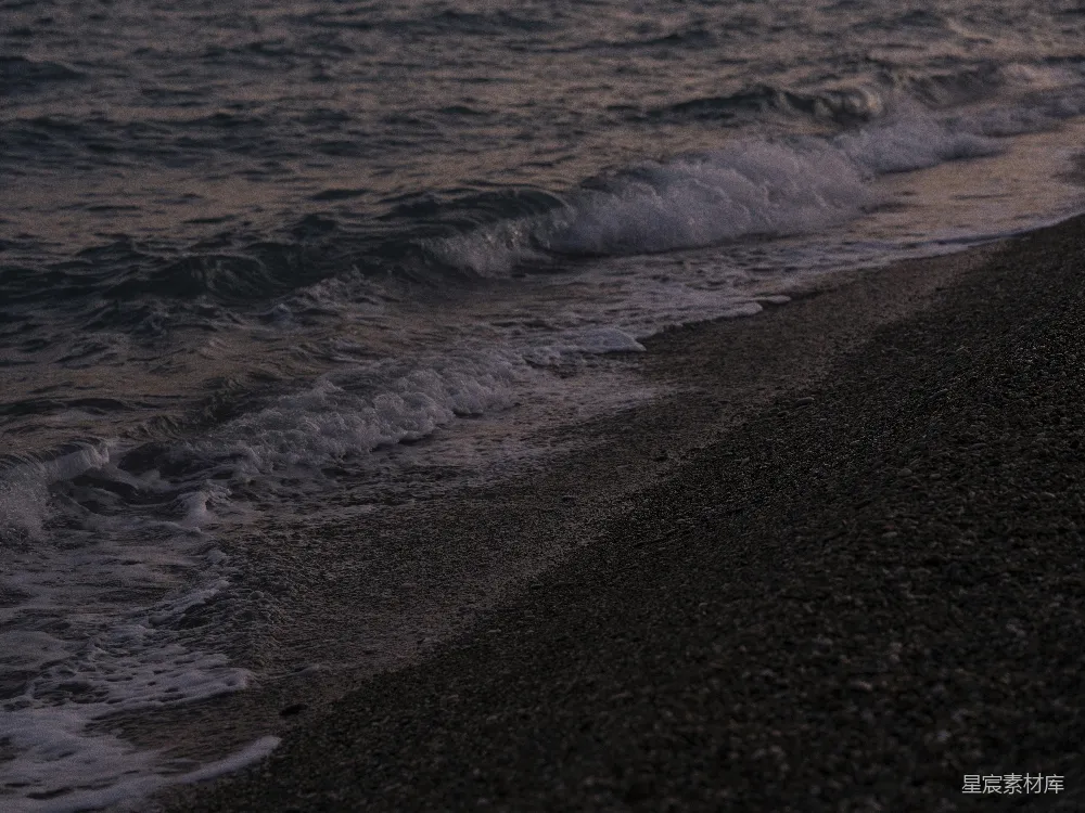 高清摄影  一只鸟站在海滩上，靠近海洋。