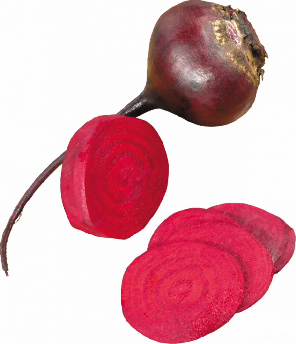 元素素材 PNG