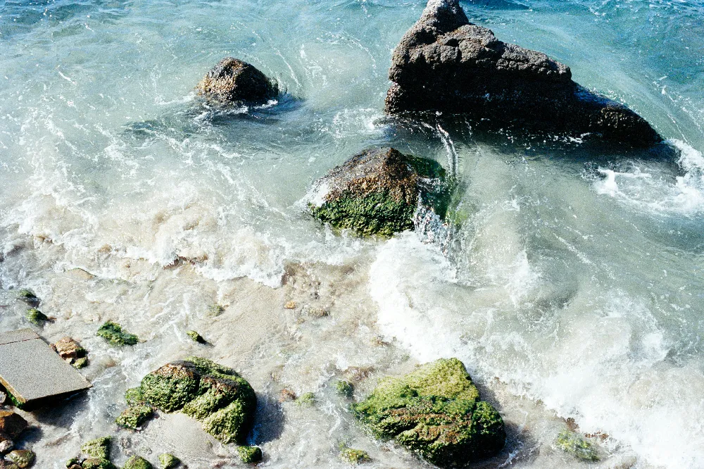 高清摄影 旅行 电影 自然 海浪拍打着岩石海岸，上面覆盖着绿色的地衣。
