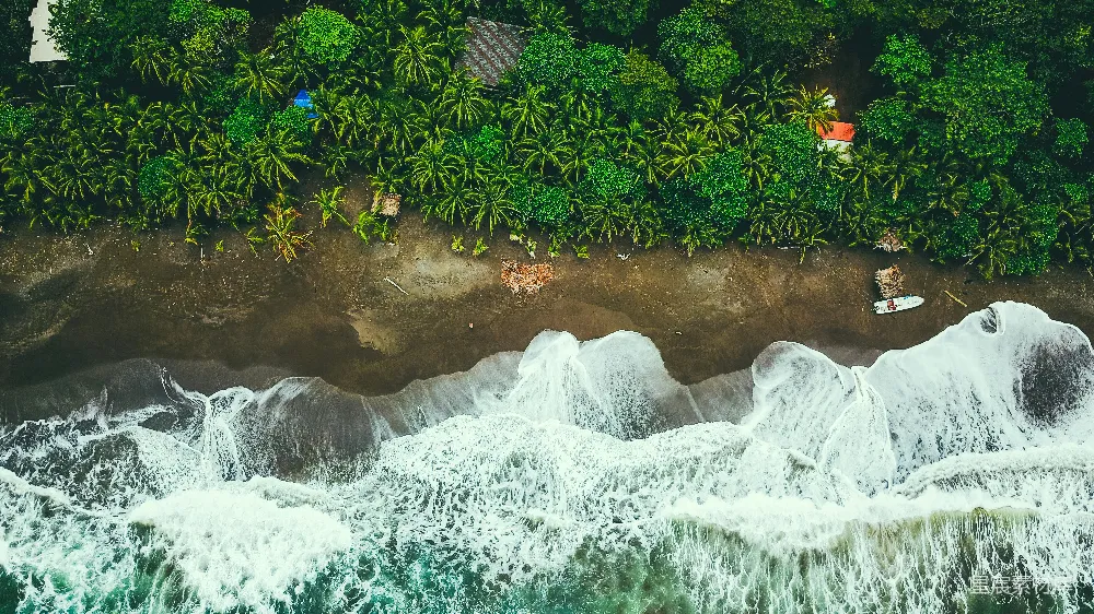 高清摄影  湍急的河流靠近大树