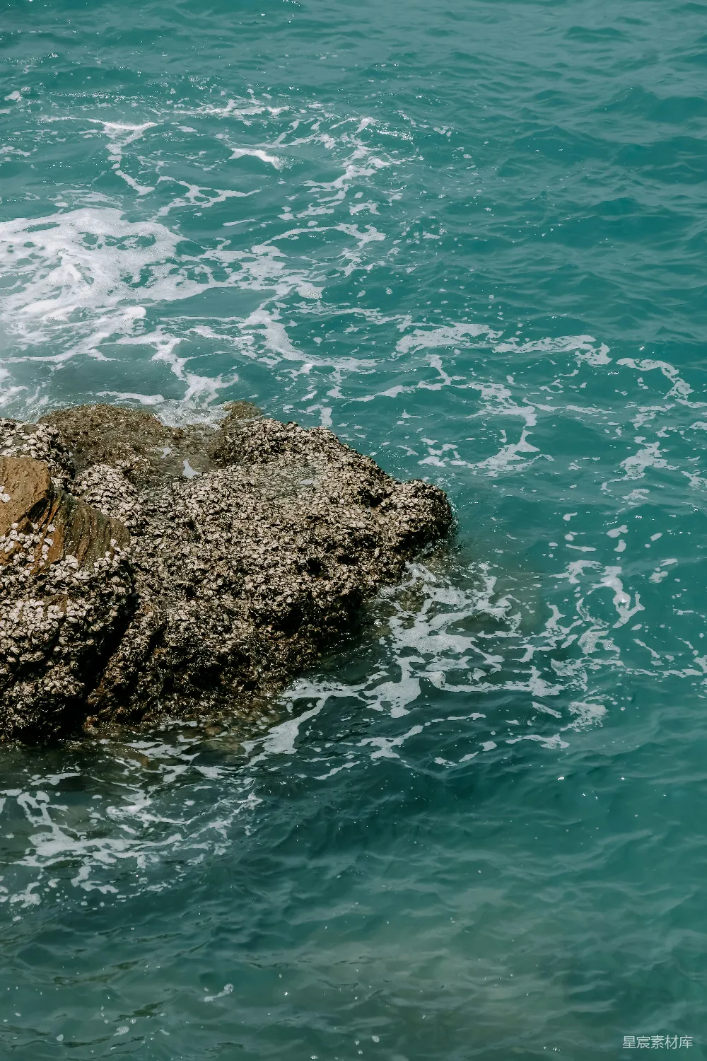 高清摄影  在碧蓝的海浪中覆盖着海龟壳的岩石