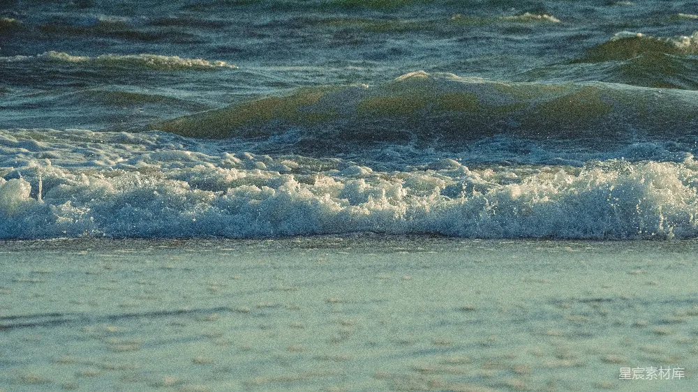高清摄影  一只鸟站在海滩上，旁边是海洋。