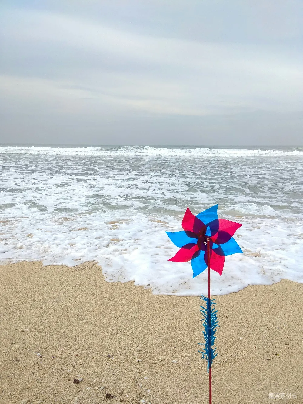 高清摄影  海边的花卉装饰