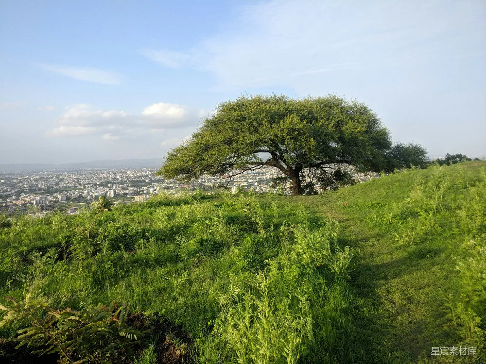 高清摄影  白天水边的绿色草地