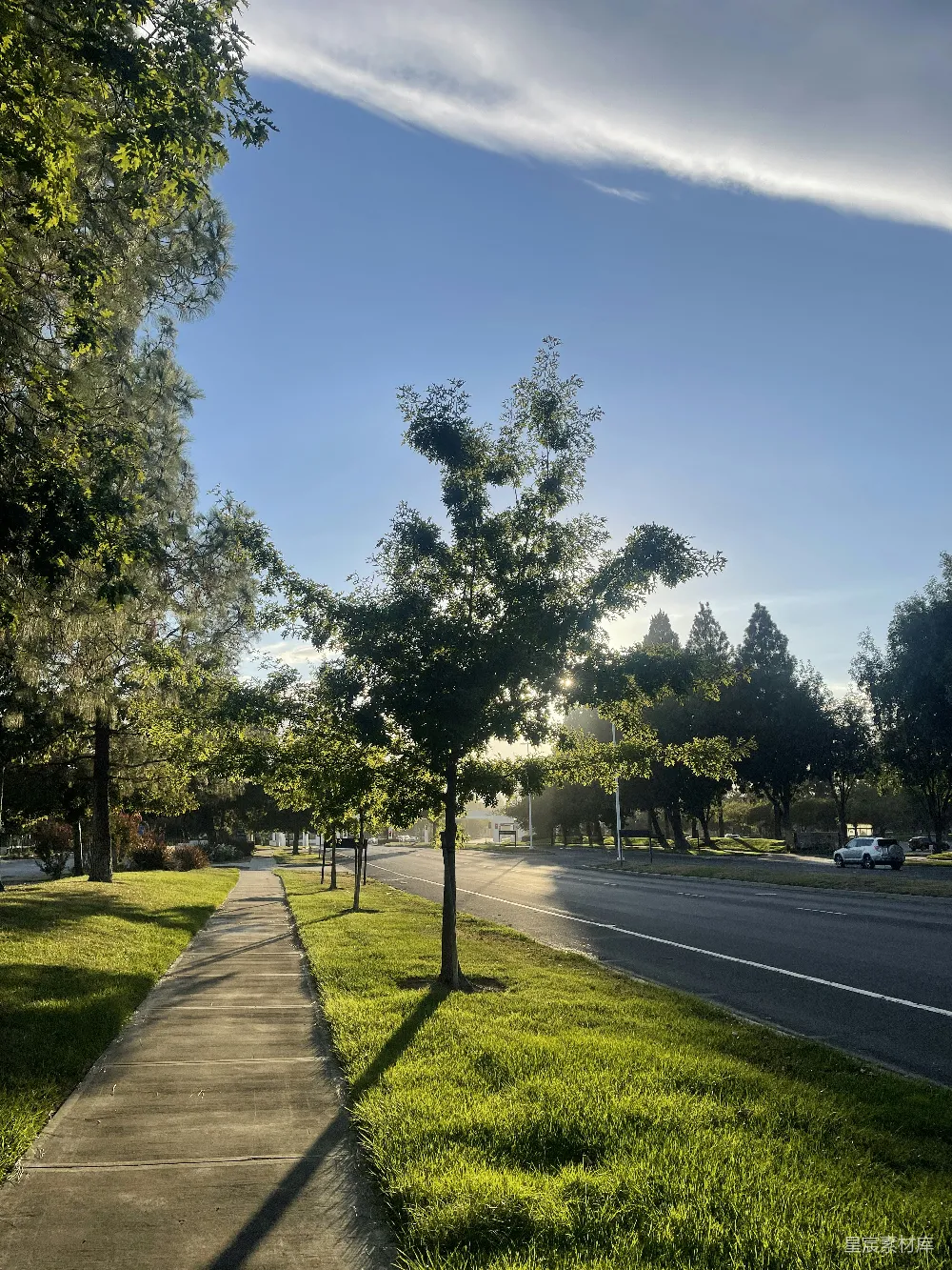 高清摄影  一条有树木边侧的道路