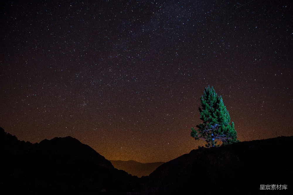 高清摄影 自然 山顶上的树在星空下