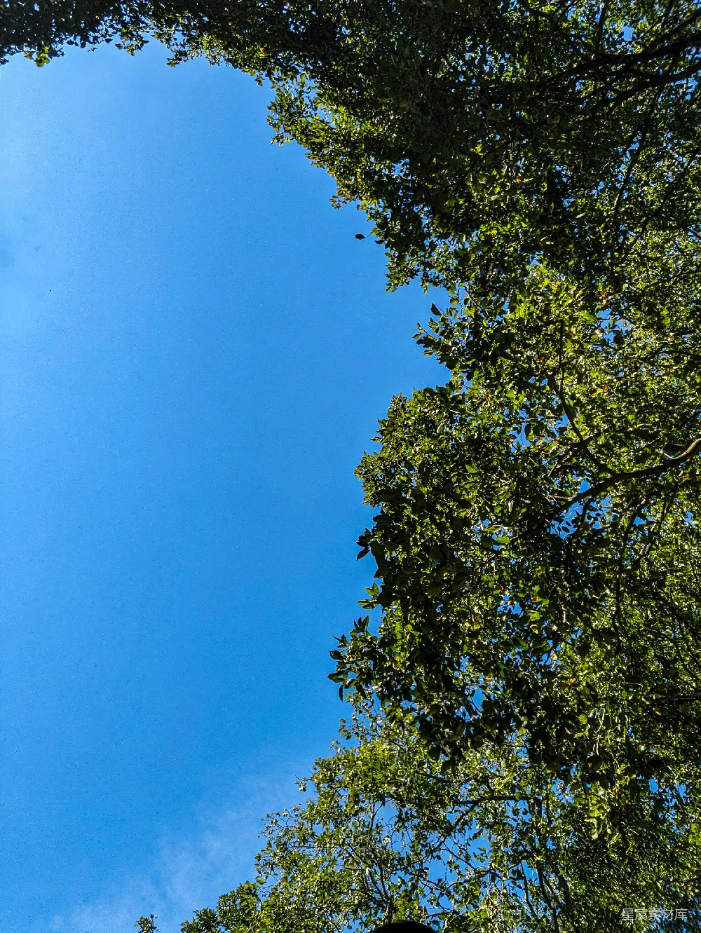 高清摄影 自然 一座钟楼，背景是蓝天。