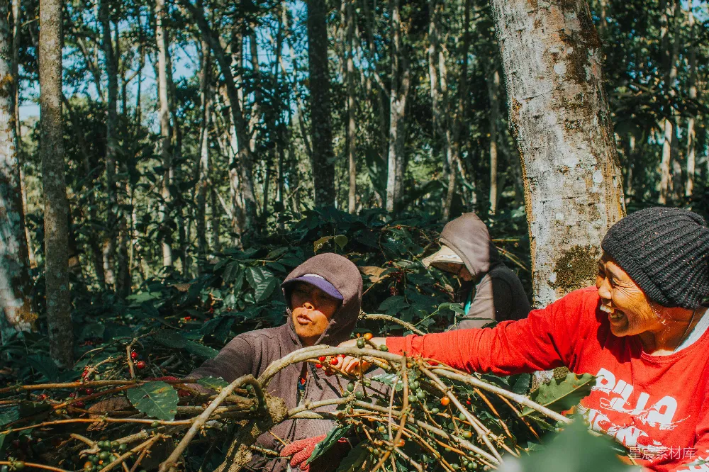 高清摄影  穿着棕色夹克和棕色帽子的男人坐在白天的绿草上。