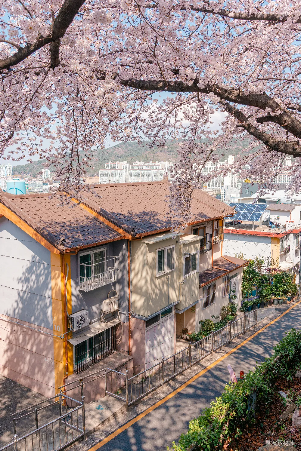 高清摄影 建筑旁边的一棵树