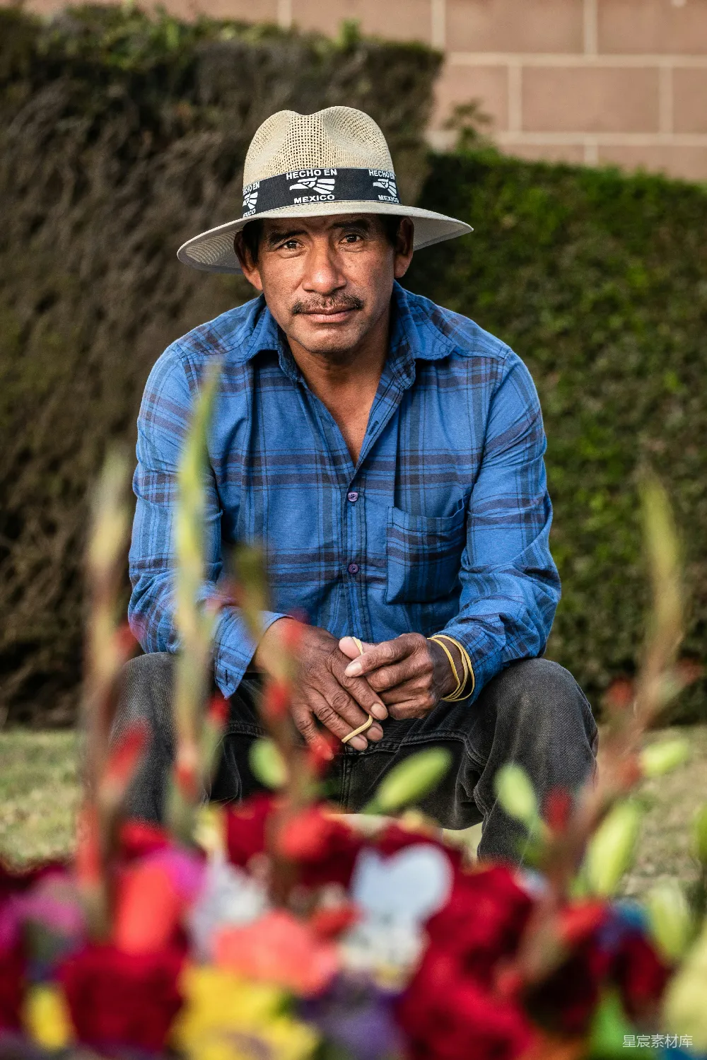 高清摄影 人物 穿着蓝白格子衬衫并戴着棕色牛仔帽的男人坐在红色花朵旁。