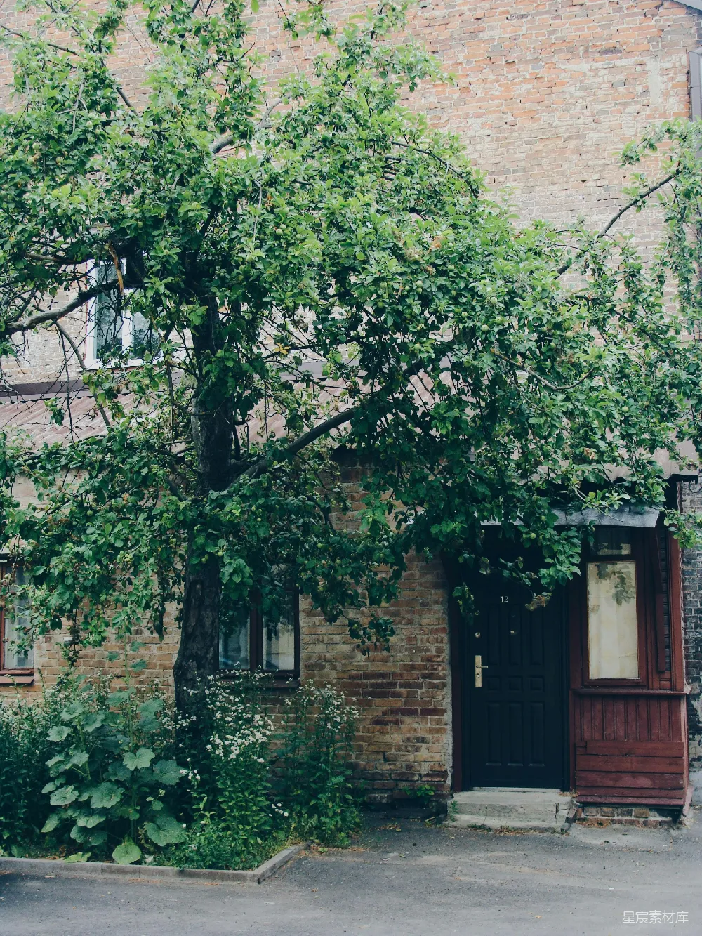 高清摄影  一幢砖砌建筑前有一棵树。