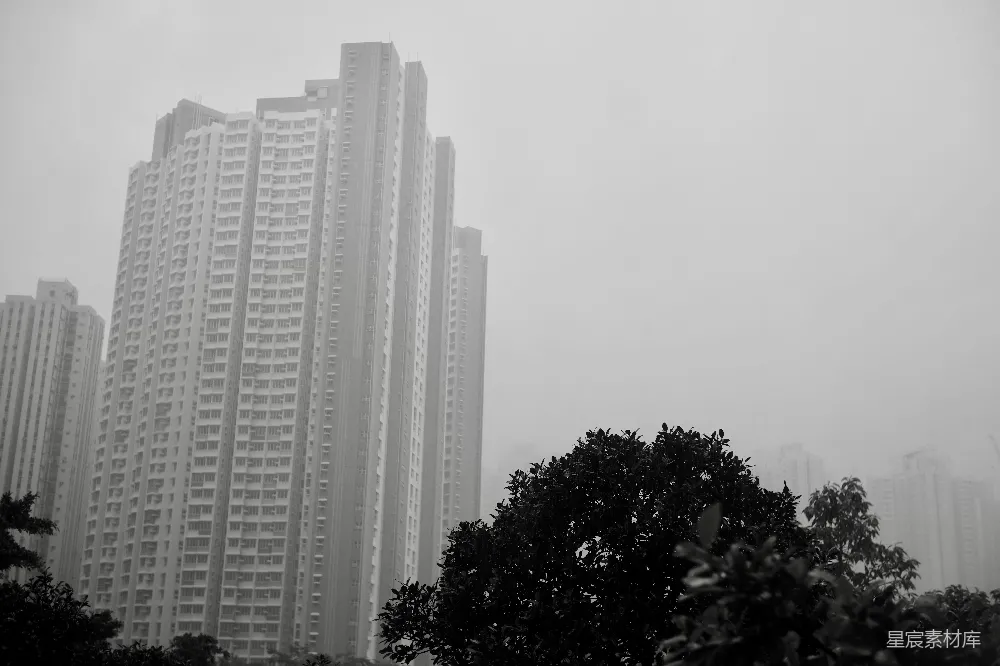 高清摄影  雾气笼罩下的高楼大厦，前景中有树木。
