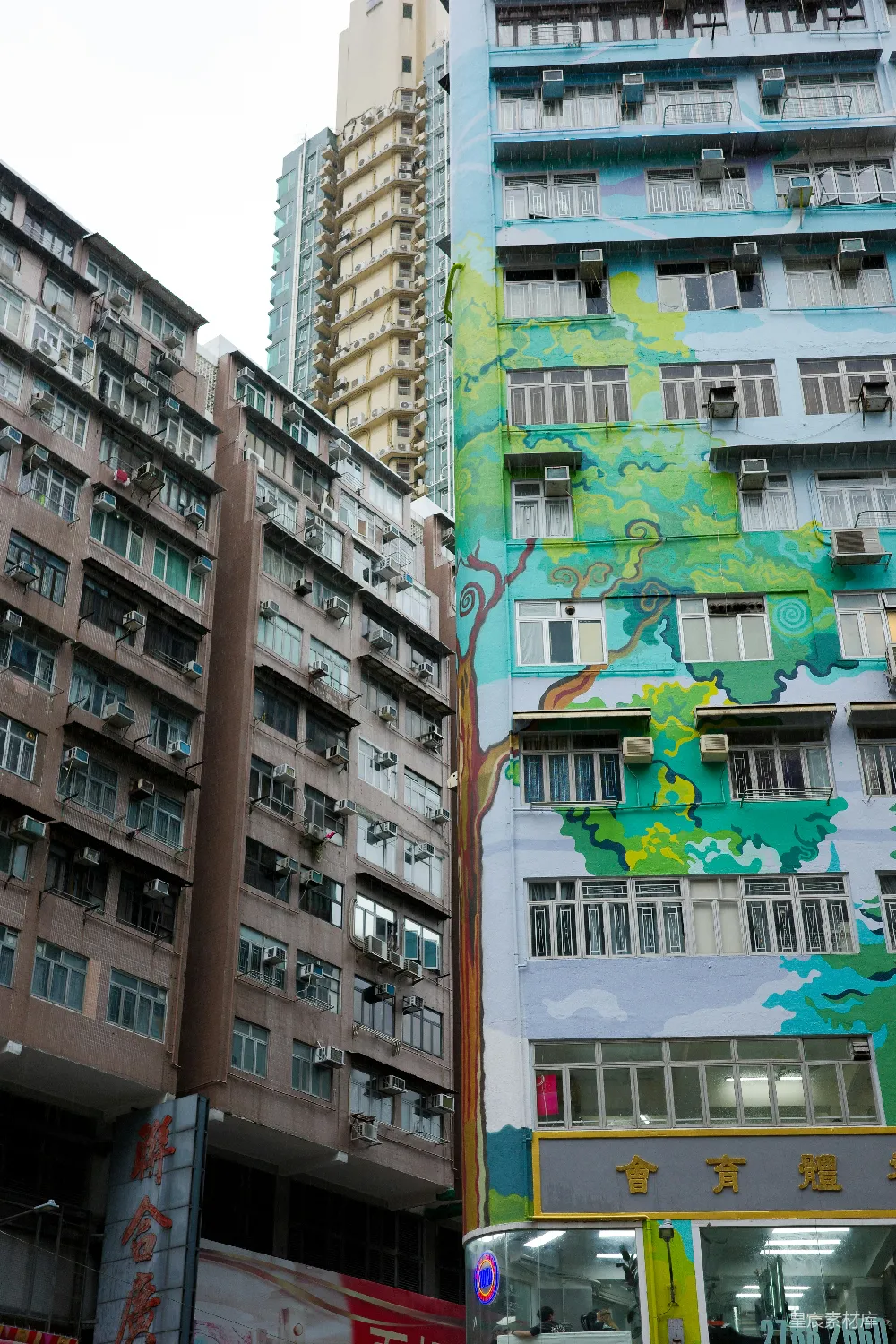 高清摄影  城市高楼上的鲜艳树木壁画。