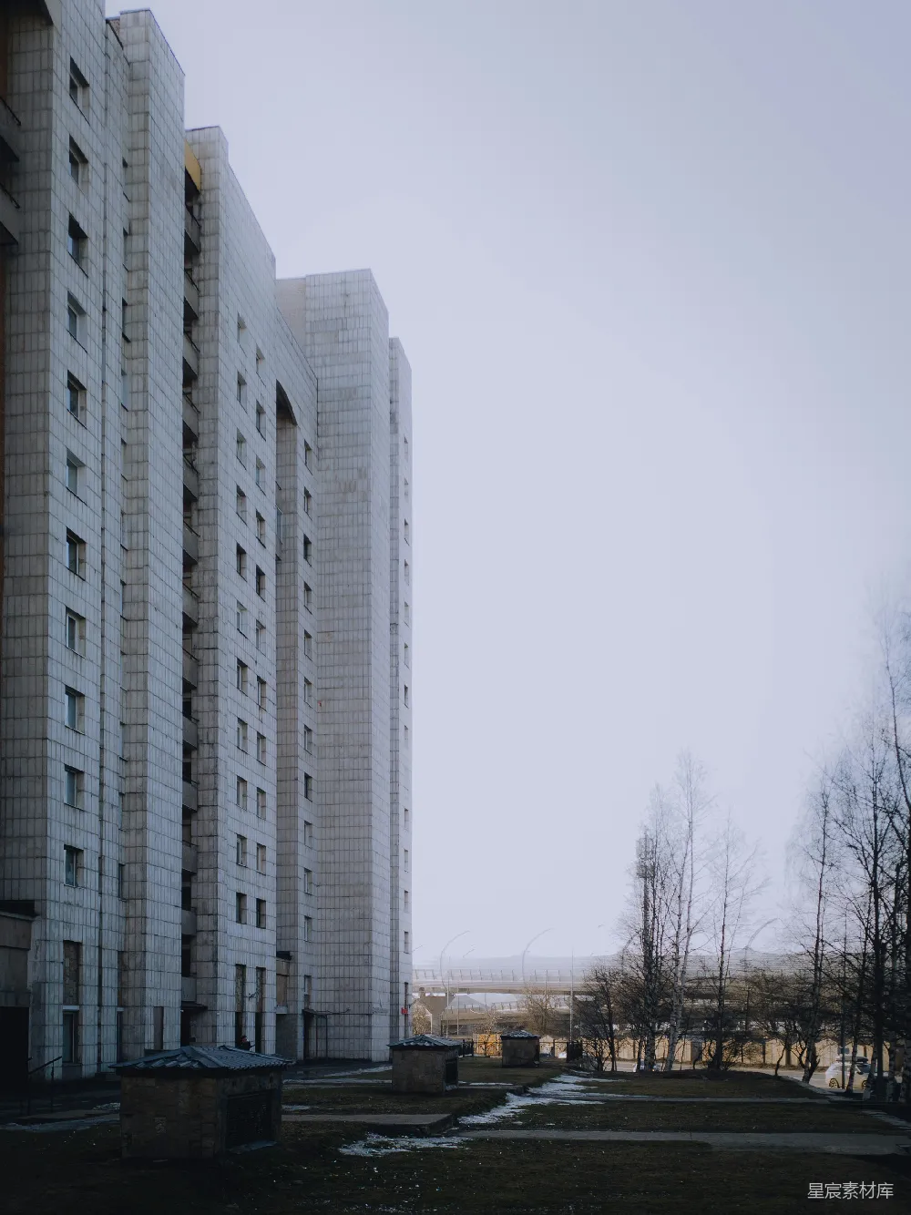 高清摄影  高大的混凝土建筑，光秃秃的树木和阴沉的天空。