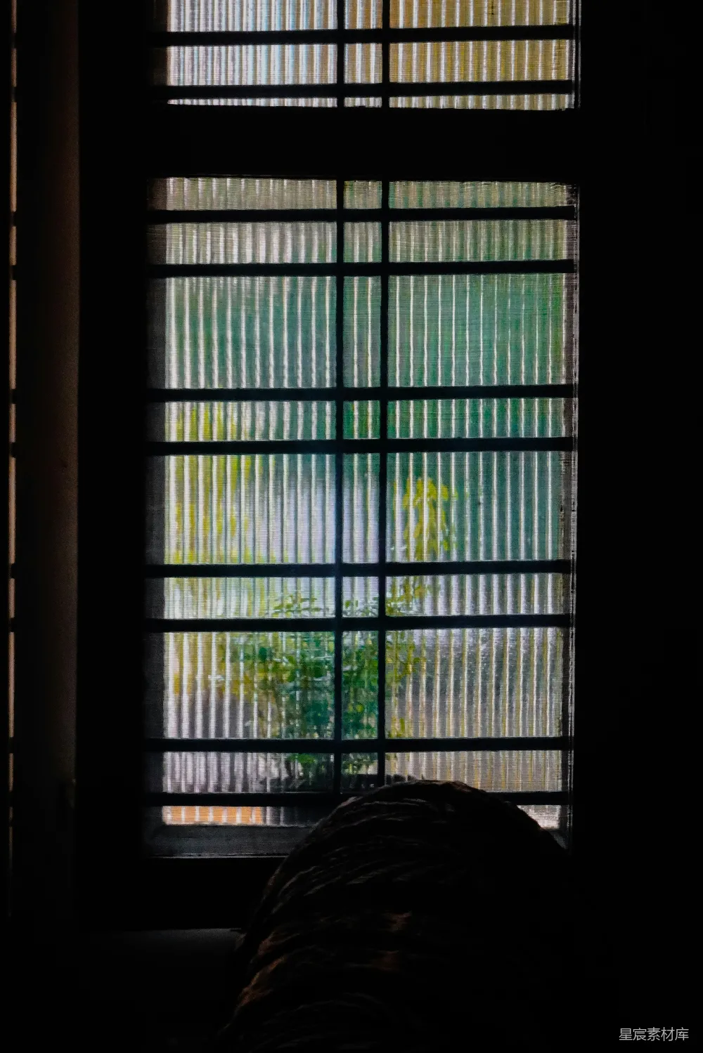 高清摄影  透过带栏杆的窗户看到绿色的树叶