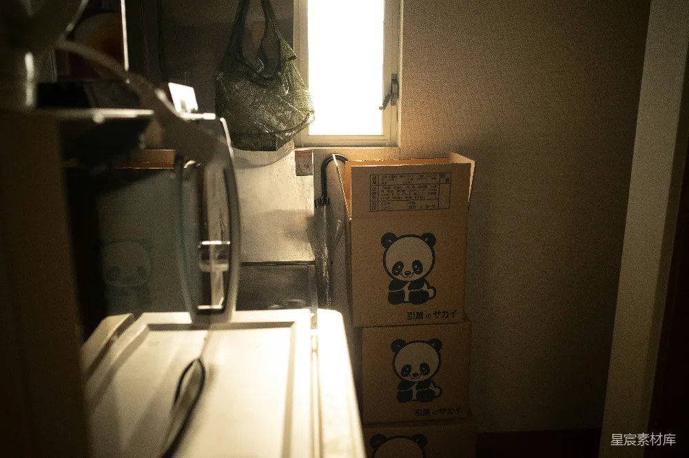 高清摄影  窗边堆叠的熊猫脸纸板箱