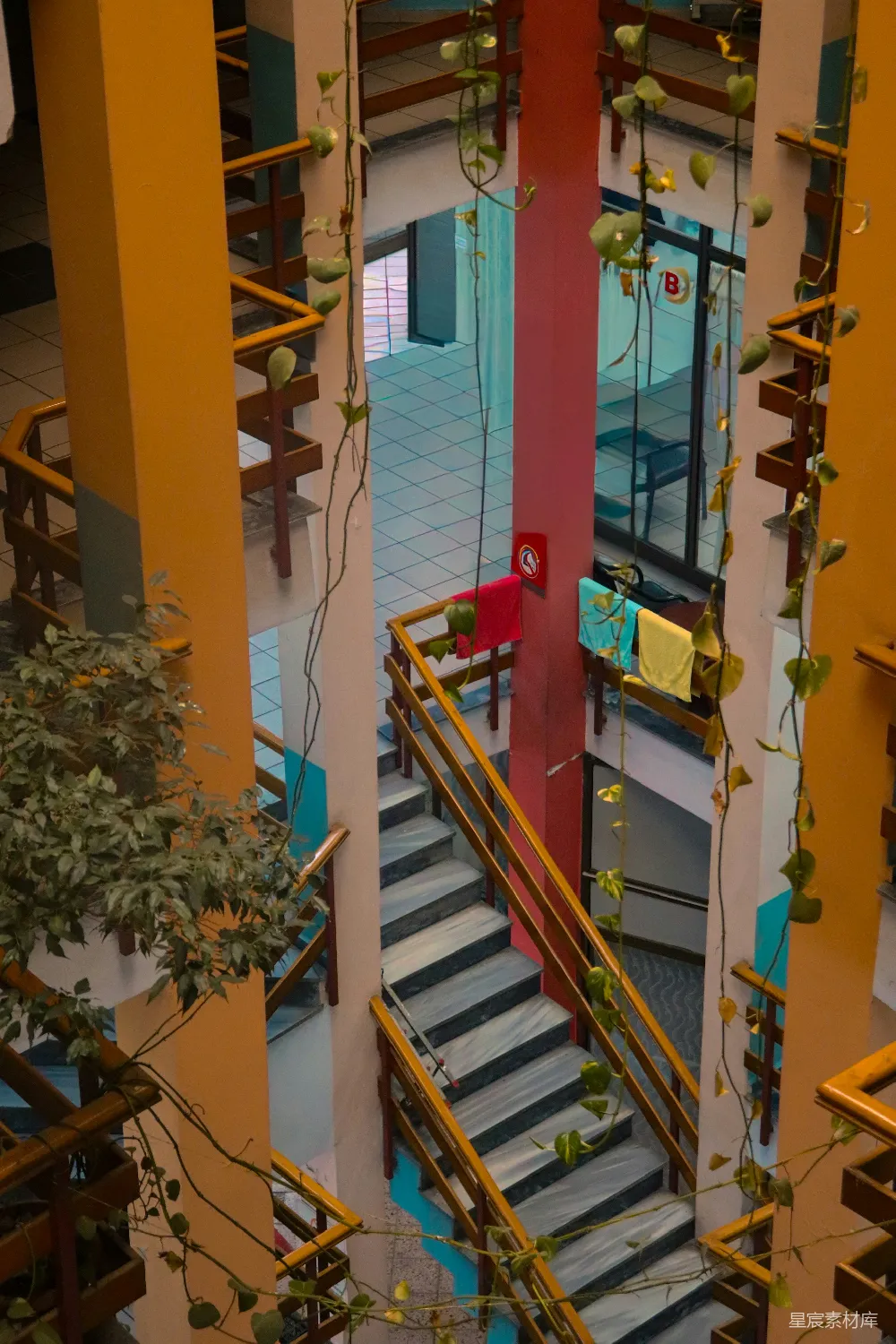 高清摄影  一座建筑物的室内景观，可以看到楼梯和植物。
