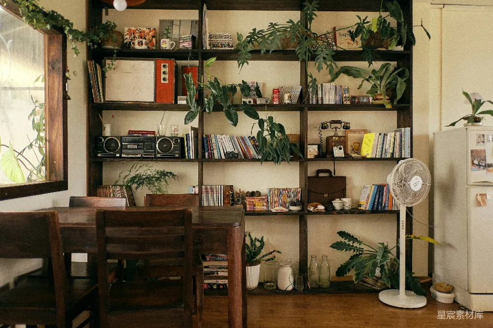 高清摄影  一个温馨的房间，配有书架、植物和餐桌。