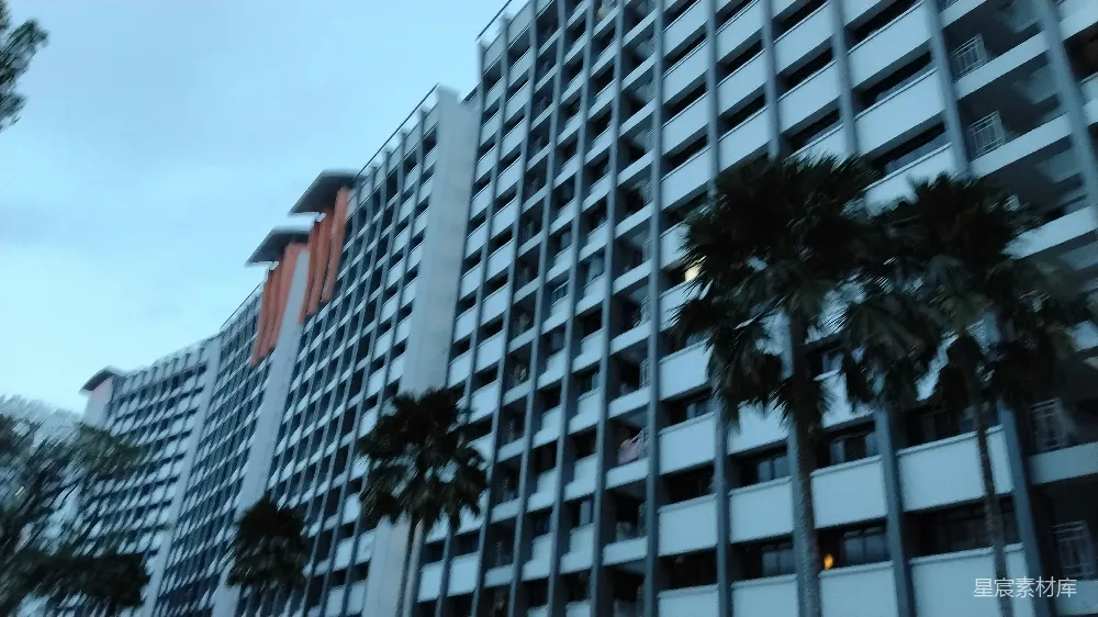 高清摄影  高楼大厦与棕榈树