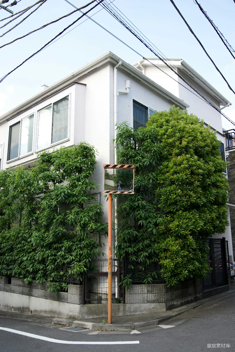 高清摄影  街角处的一座白色建筑上覆盖着绿色的植物。