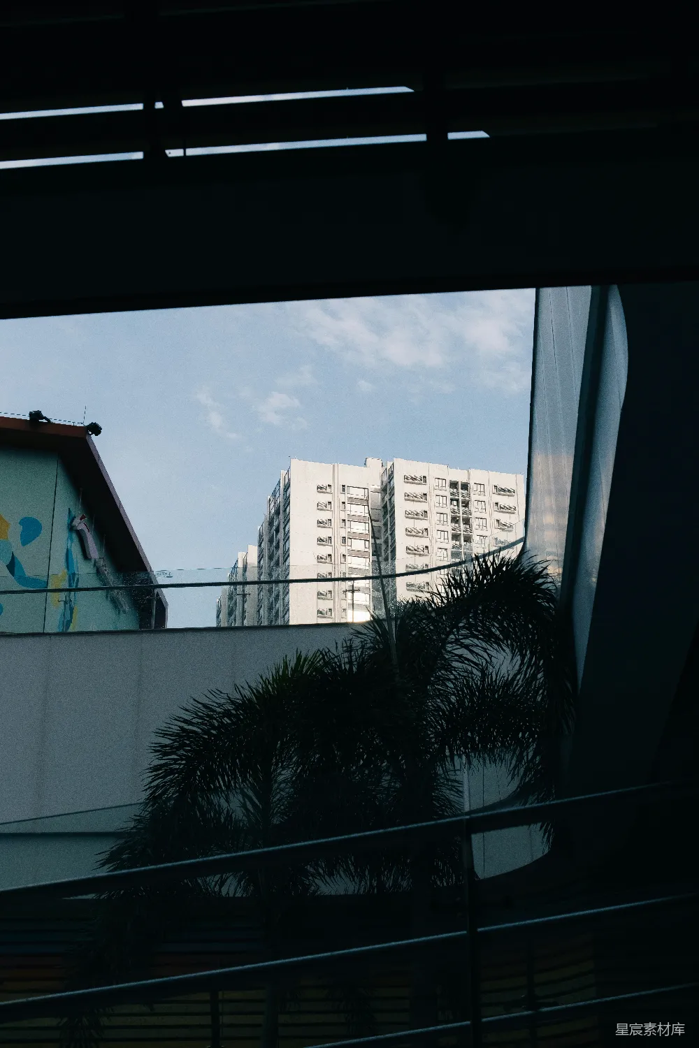 高清摄影  摩天大楼和棕榈树映衬着明亮的蓝天。