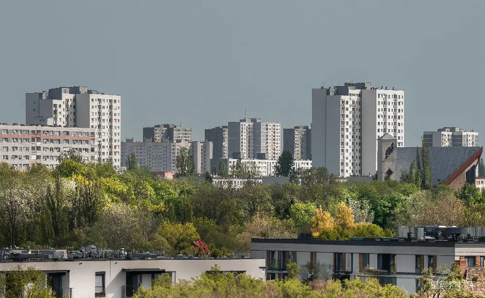 高清摄影  一座有高大建筑和前景中的树木的城市