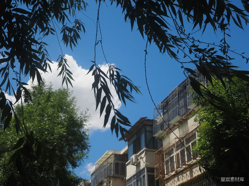 高清摄影  蓝天上有一朵白云，绿树成荫，还有建筑物。