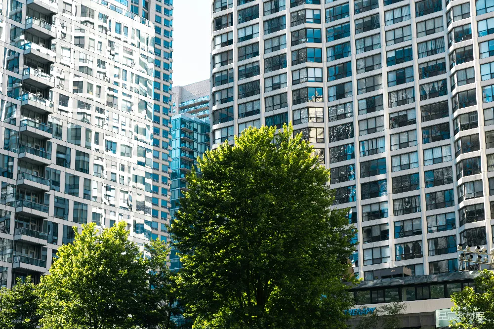 高清摄影  高楼大厦中绿树成荫的城市景象。