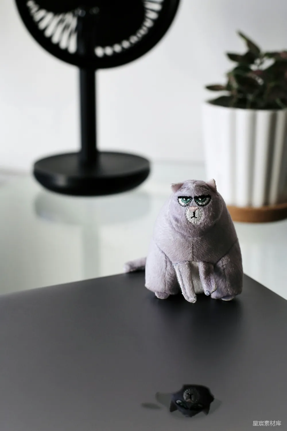 高清摄影  黑桌上的灰猫摆件