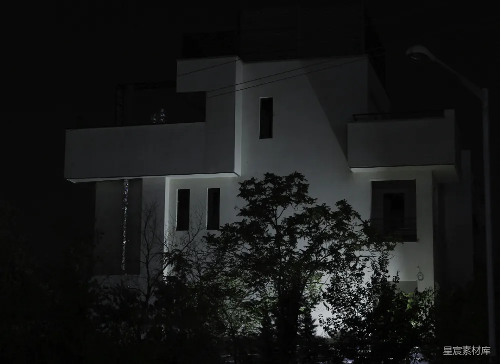 高清摄影  夜晚，一棵树前有一座白色建筑物。