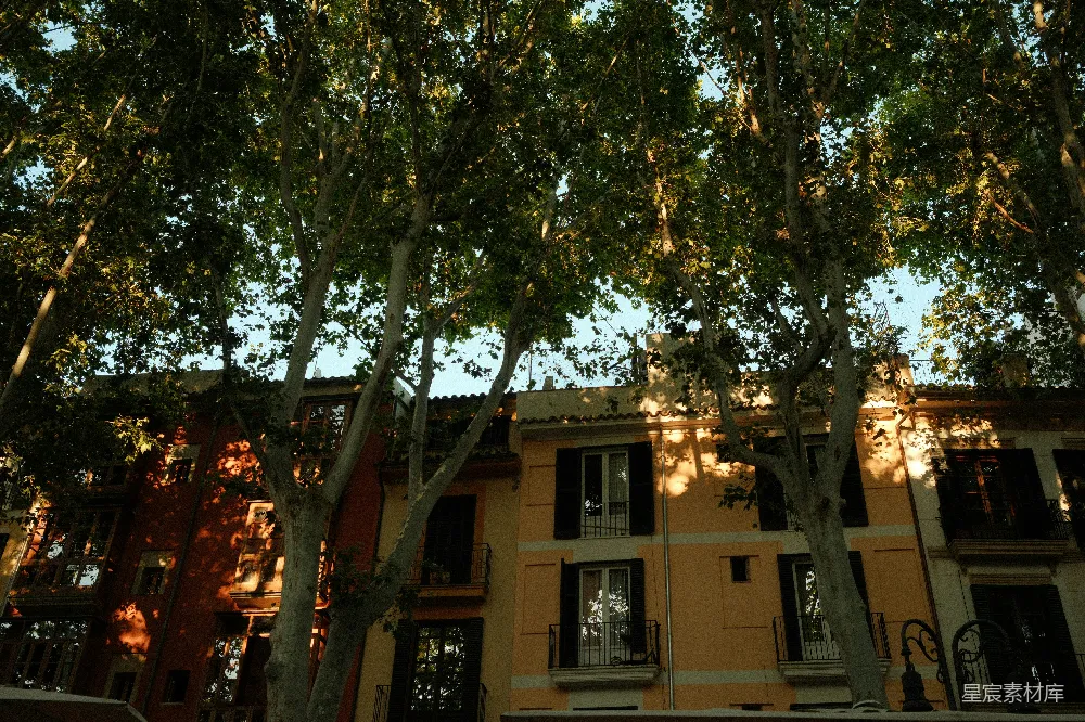 高清摄影 旅行 壁纸 阳光透过高大的树木照在色彩斑斓的建筑物上。