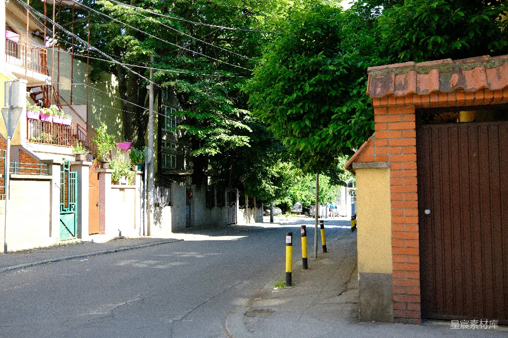 高清摄影  一条安静的街道，两旁有树木和建筑物，还有一扇棕色的门。