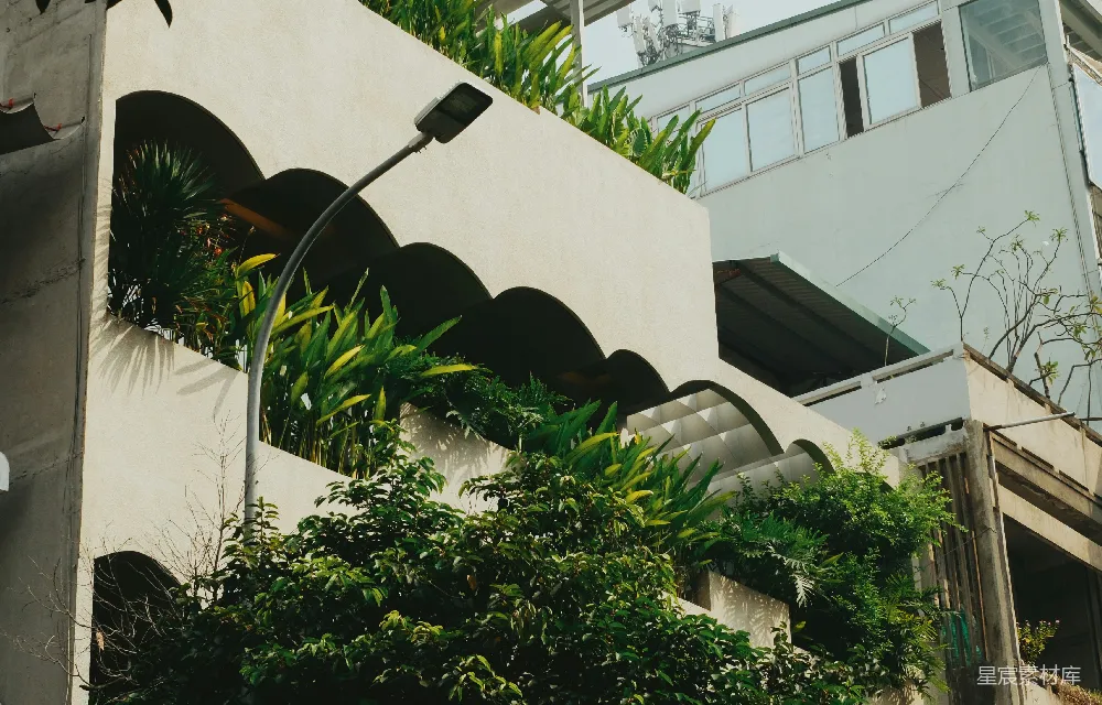 高清摄影  绿色植物垂挂在现代化建筑的外墙上。