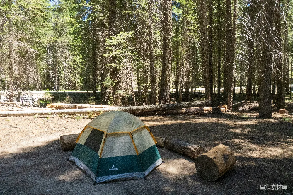 高清摄影 自然 旅行 在阳光明媚的森林露营地搭建起的帐篷。