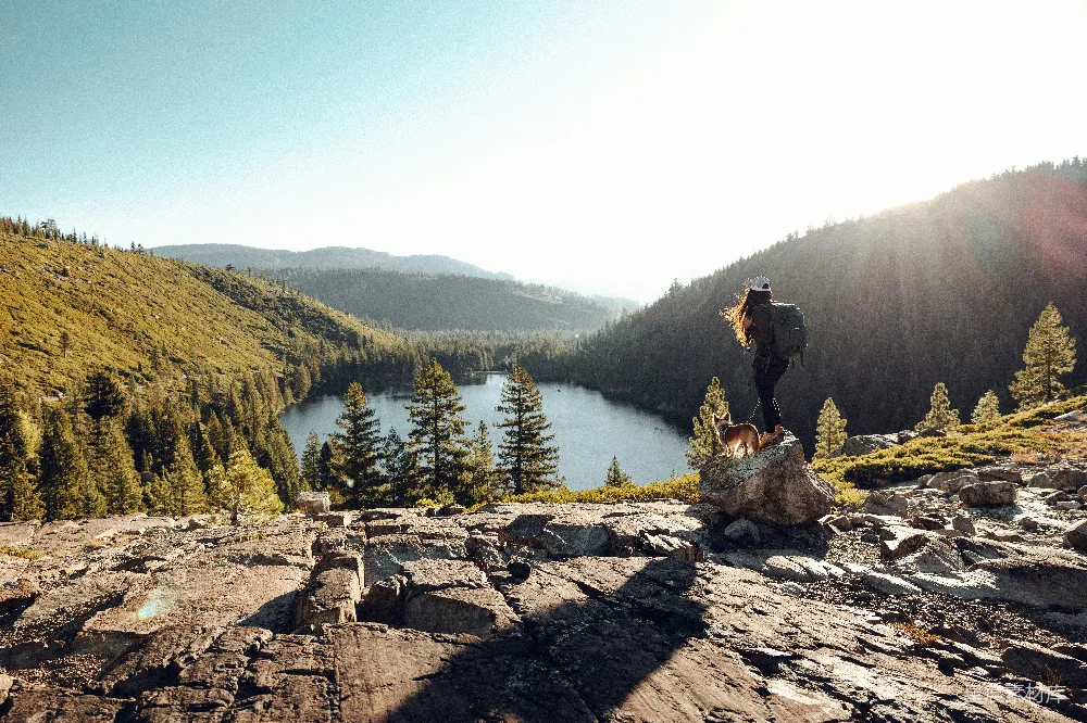 高清摄影  女人和狗欣赏着风景优美的山间湖景。
