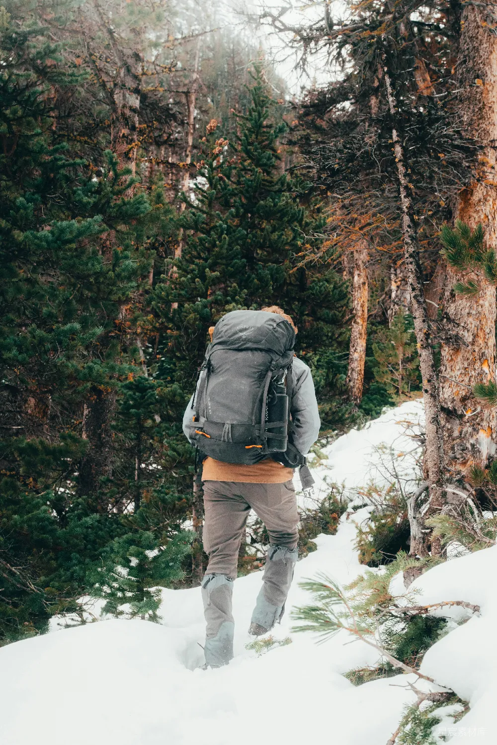 高清摄影 旅行 人物 背着背包的徒步者穿过雪地森林